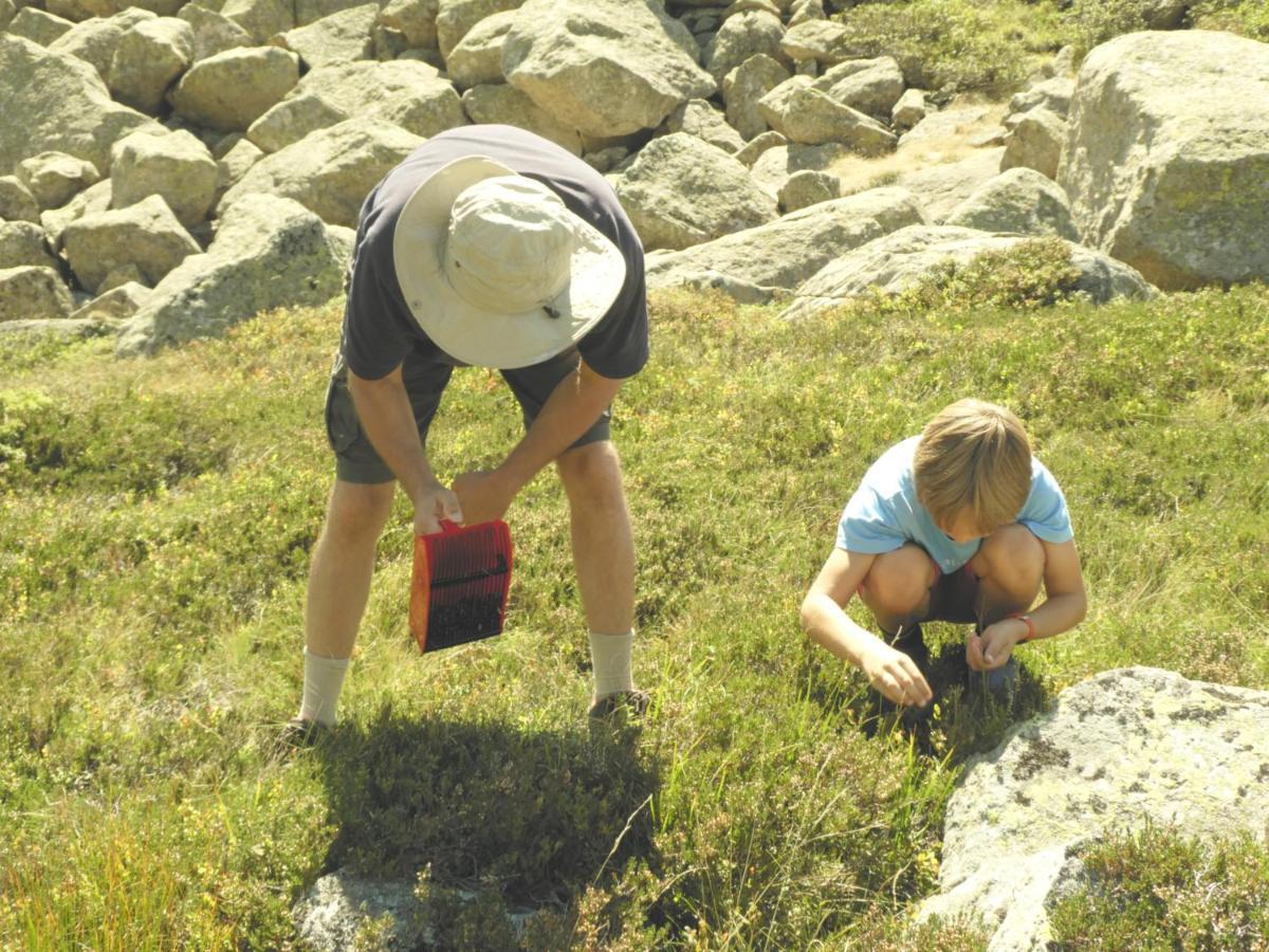Pied des pistes, pleine nature Ustou Exterior foto