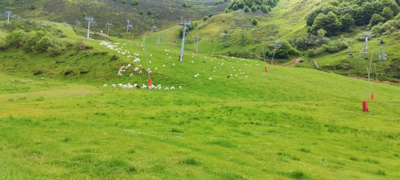 Pied des pistes, pleine nature Ustou Exterior foto