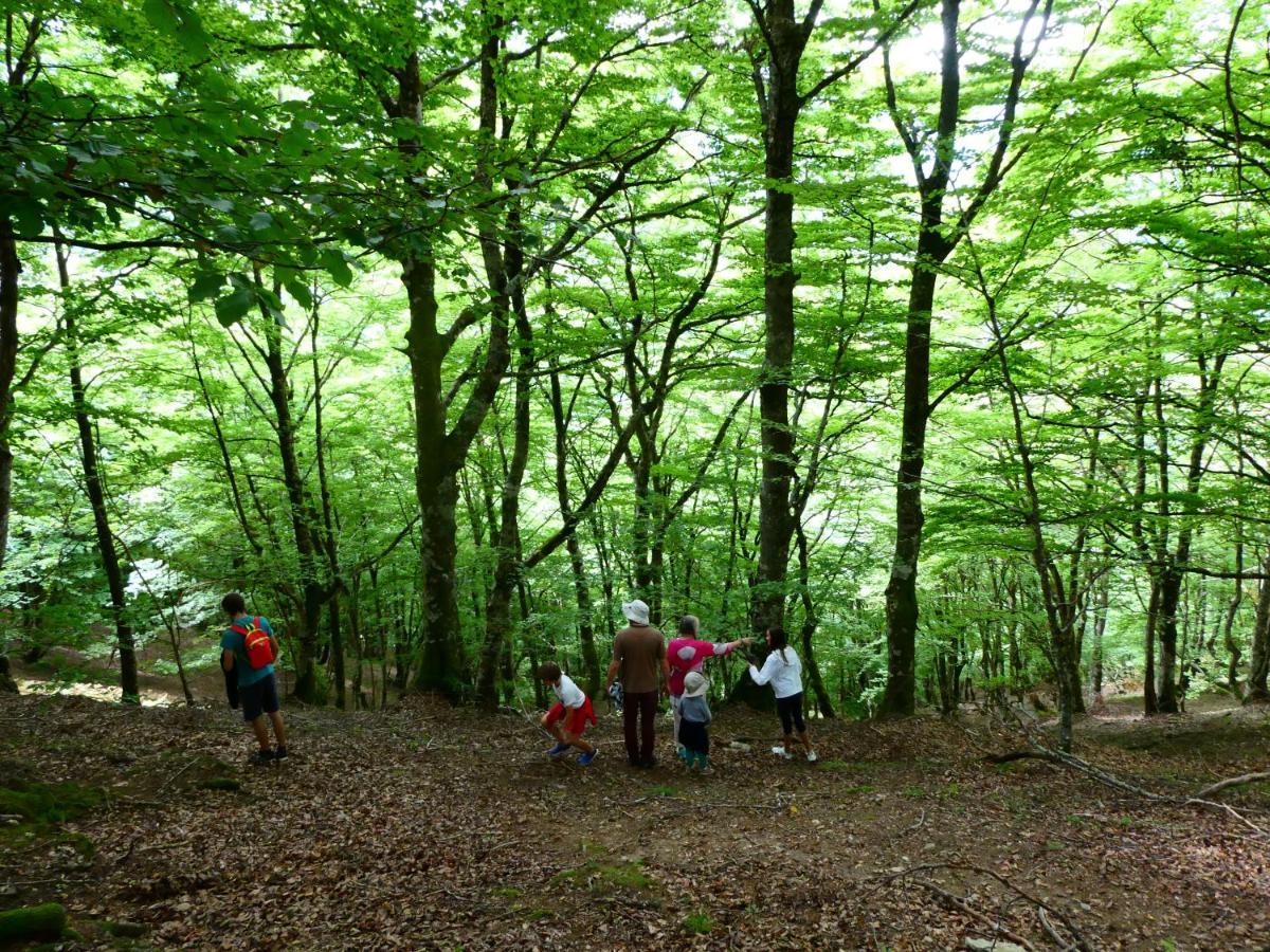 Pied des pistes, pleine nature Ustou Exterior foto