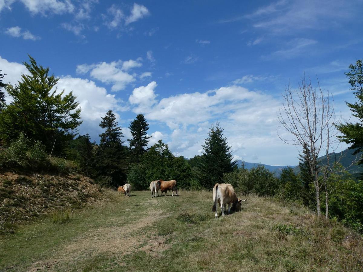 Pied des pistes, pleine nature Ustou Exterior foto