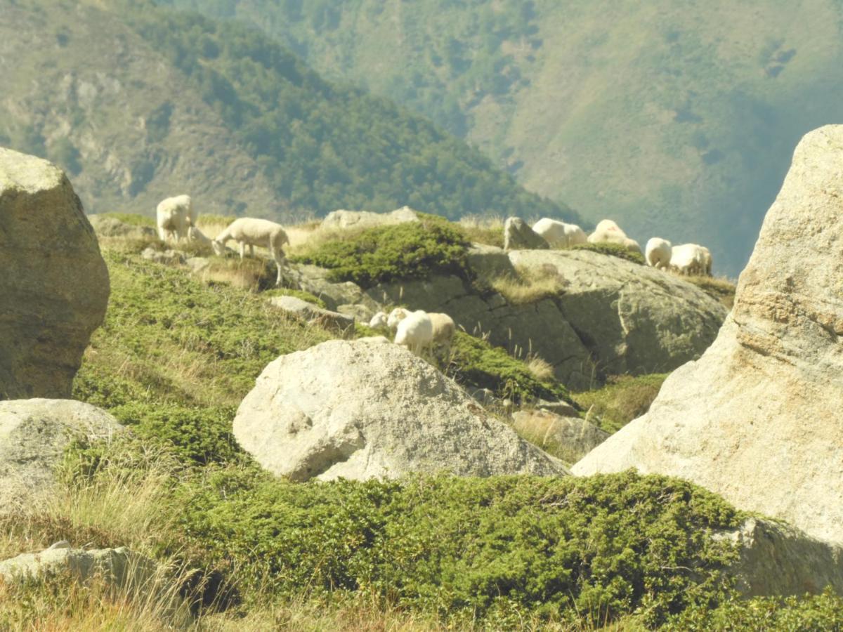 Pied des pistes, pleine nature Ustou Exterior foto